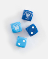 Battles of Napoleon Wartenburg 1813 – special dice